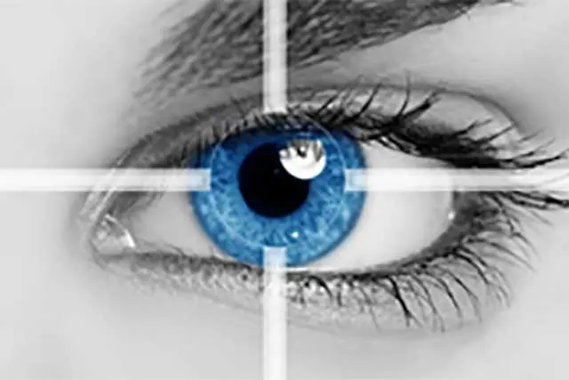 Iris Scanning Biometric Vault Door